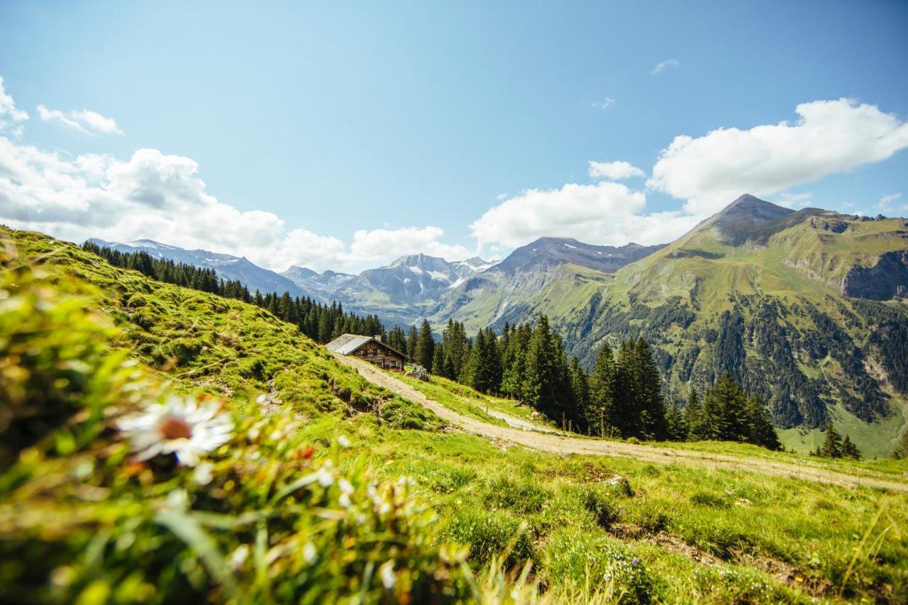 Apartment Prossegger Neukirchen am Großvenediger エクステリア 写真